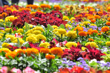 Similar image 21492201