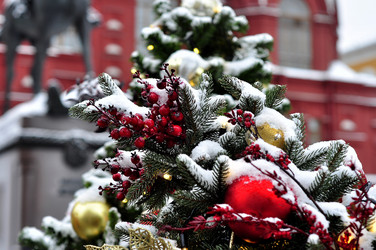 Similar image 21492202