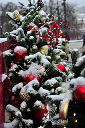 Similar image 21492203