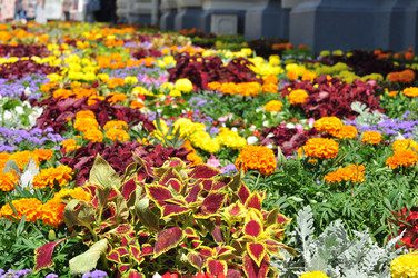 Similar image 21492204