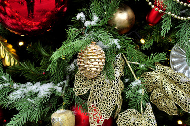 Similar image 21492205