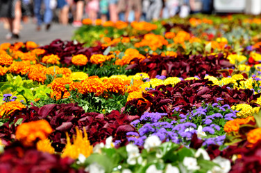 Similar image 21492206