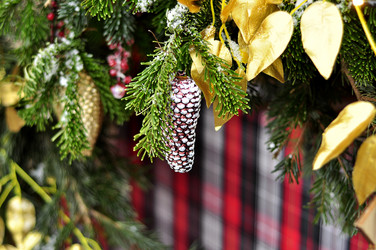 Similar image 21492207