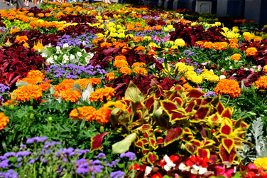 Similar image 21492208