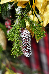 Similar image 21492209