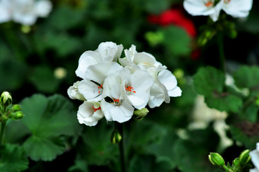 Similar image 21492210