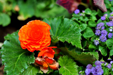 Similar image 21492212