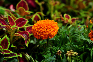 Similar image 21492214