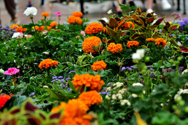 Similar image 21492216