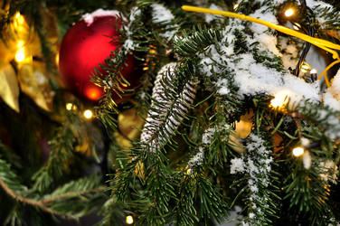 Similar image 21492217