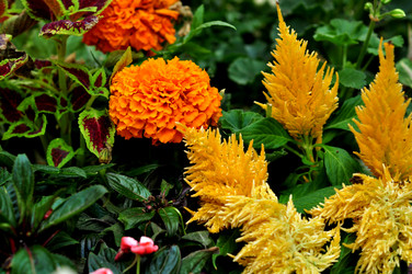 Similar image 21492218