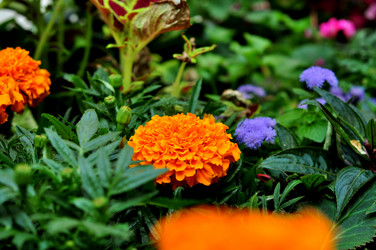 Similar image 21492220