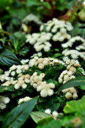 Similar image 21492221