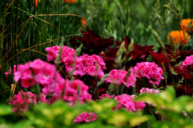 Similar image 21492223