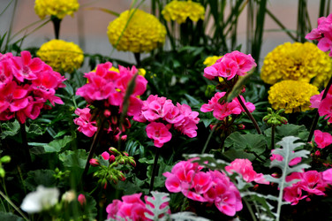 Similar image 21492226