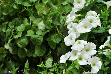 Similar image 21492227