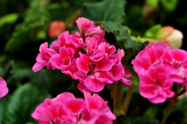 Similar image 21492228