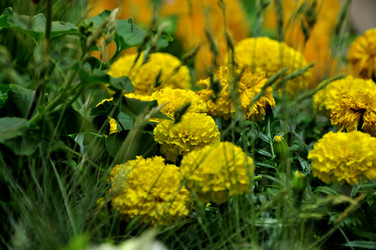 Similar image 21492229