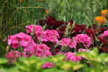 Similar image 21492231