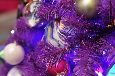 Similar image 21495249