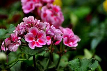 Similar image 21504255