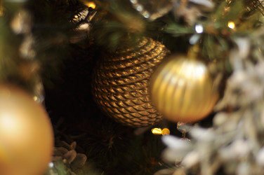 Similar image 21502421