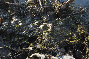 Similar image 21502646