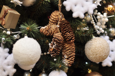 Similar image 21503091