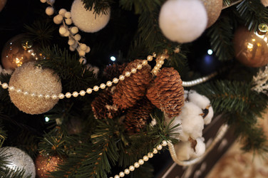 Similar image 21503092