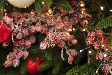 Similar image 21503095