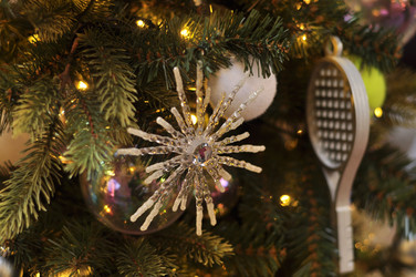 Similar image 21503097