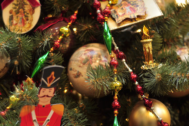 Similar image 21503100