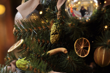 Similar image 21503102