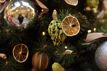 Similar image 21503510