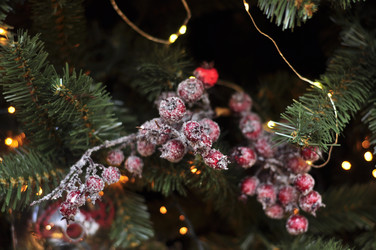 Similar image 21503511