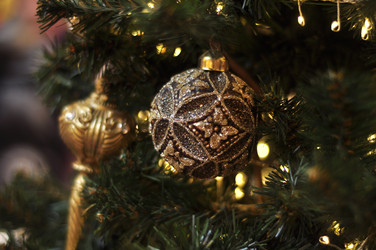 Similar image 21503512