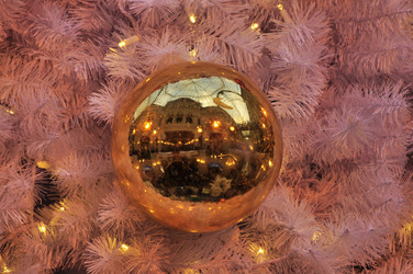 Similar image 21503516