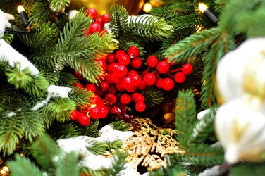 Similar image 21503517