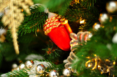 Similar image 21503519