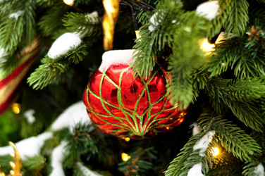 Similar image 21503520