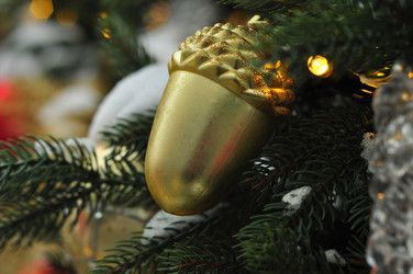 Similar image 21503524