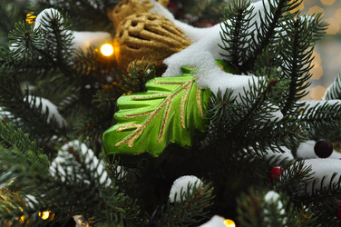 Similar image 21503526