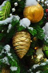 Similar image 21503527