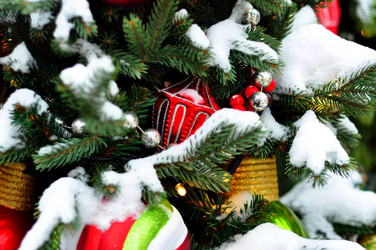 Similar image 21503528