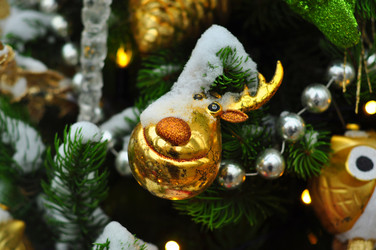 Similar image 21503530