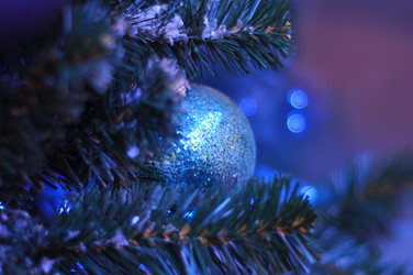 Similar image 21503531