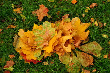 Similar image 21503822