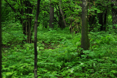 Similar image 21503826