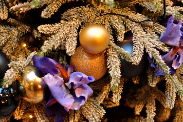 Similar image 21503828