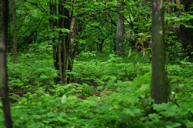 Similar image 21503829